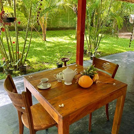Jasmin Homestay Marakolliya Тангалла Экстерьер фото