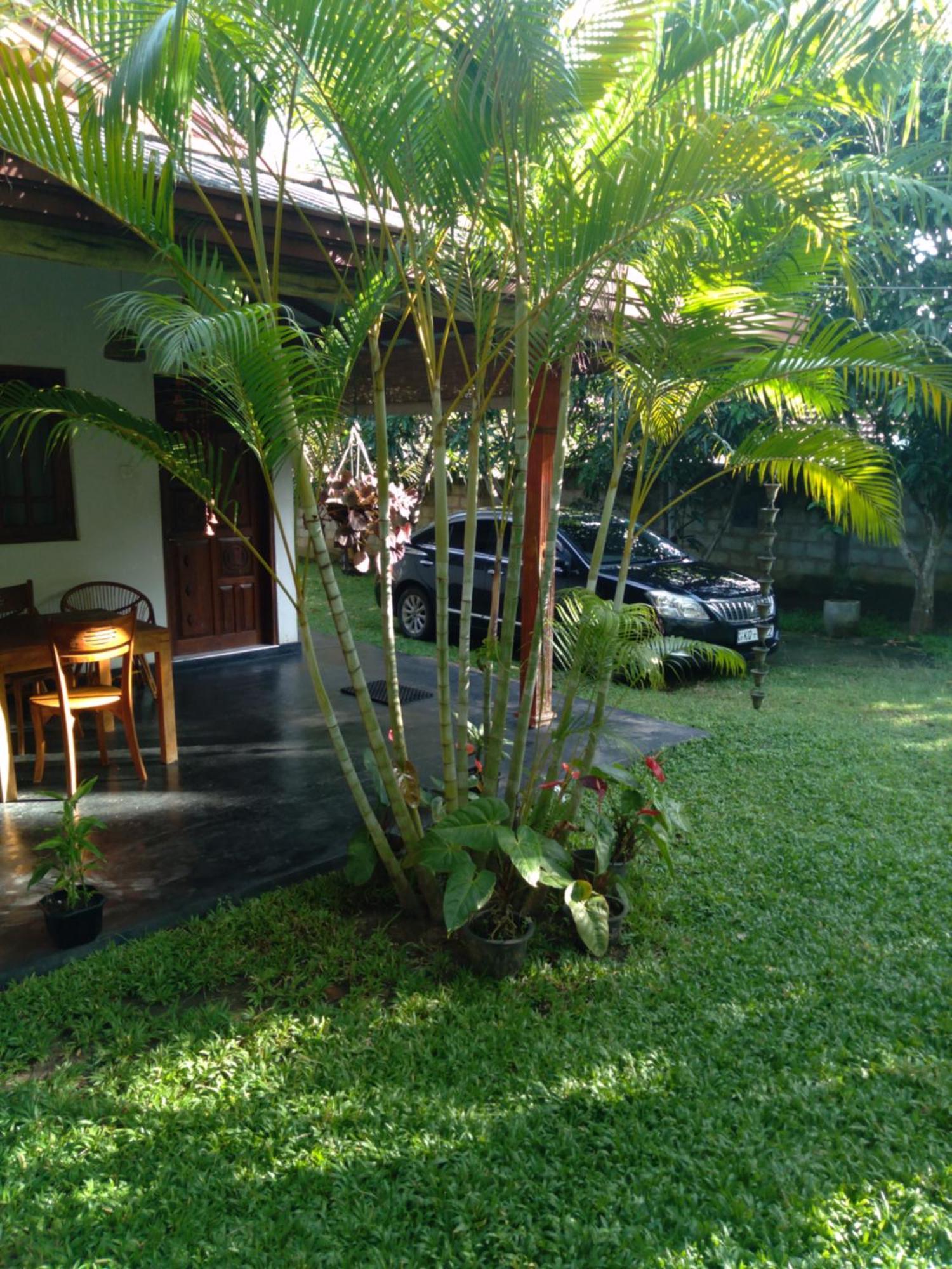 Jasmin Homestay Marakolliya Тангалла Экстерьер фото